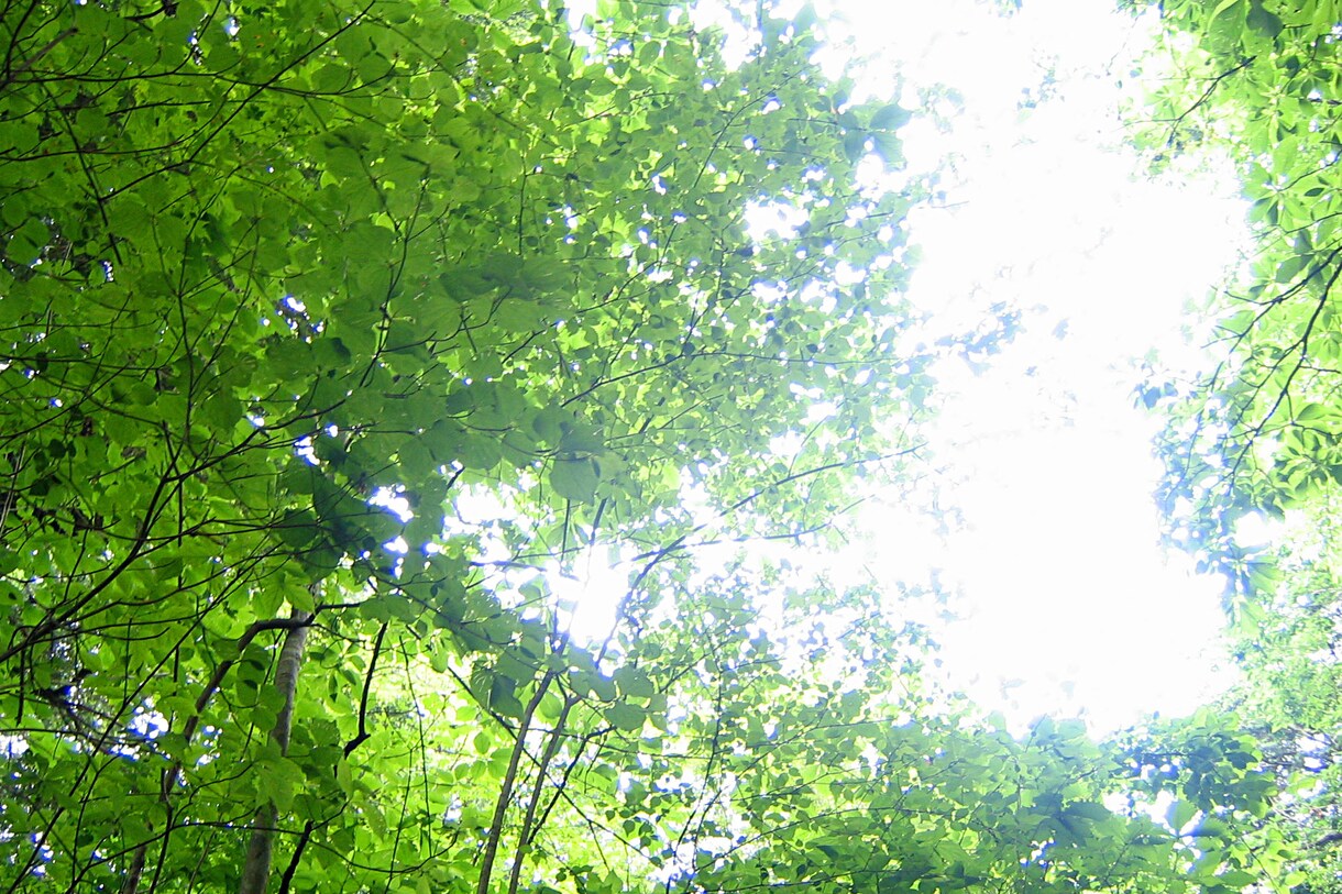 大学1、2年生の方の自己分析をお手伝いします 今のうちから準備を始めて、自信を持って就活に臨みましょう！ イメージ1