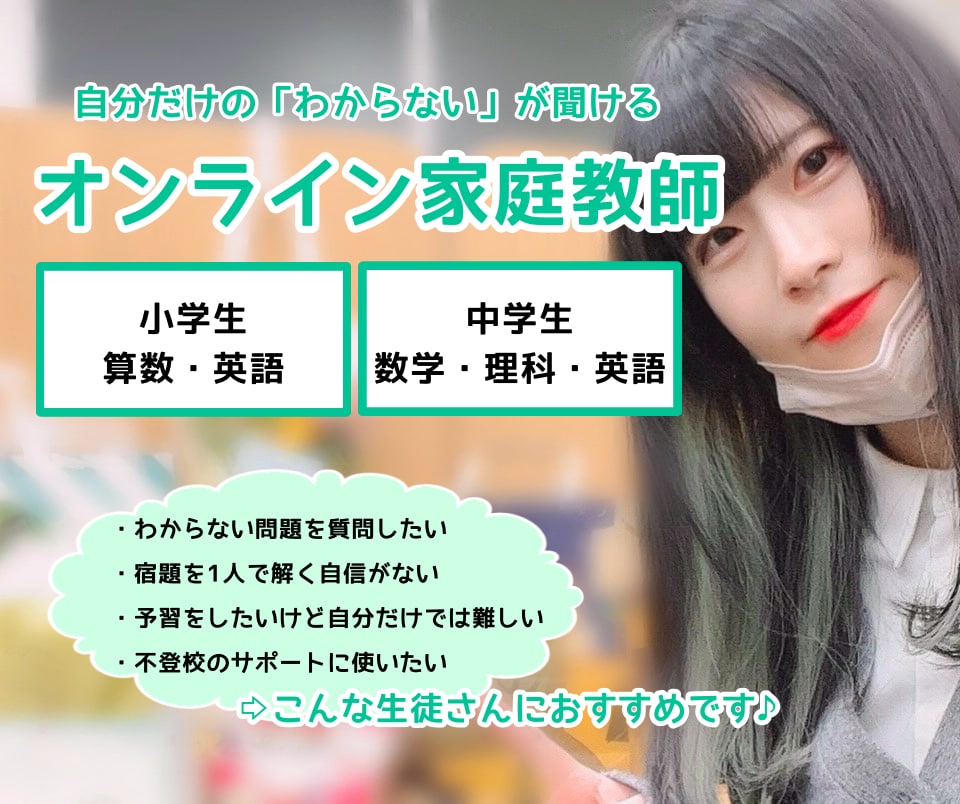 小・中学生のオンライン家庭教師をします プロの指導で一人ひとりの学習のお困りに寄り添います♪ イメージ1
