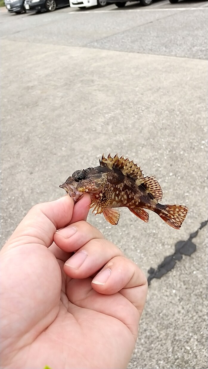釣り初心者の方へ 希望に合わせてアドバイスします 釣歴30年の私が道具、エサ、釣り方、場所などアドバイスします イメージ6