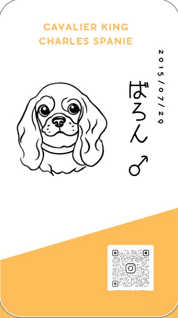 美容、ペット関連のデザインが特に得意でございます 元美容部員、エステティシャン　キャバリアを21年飼っています イメージ5