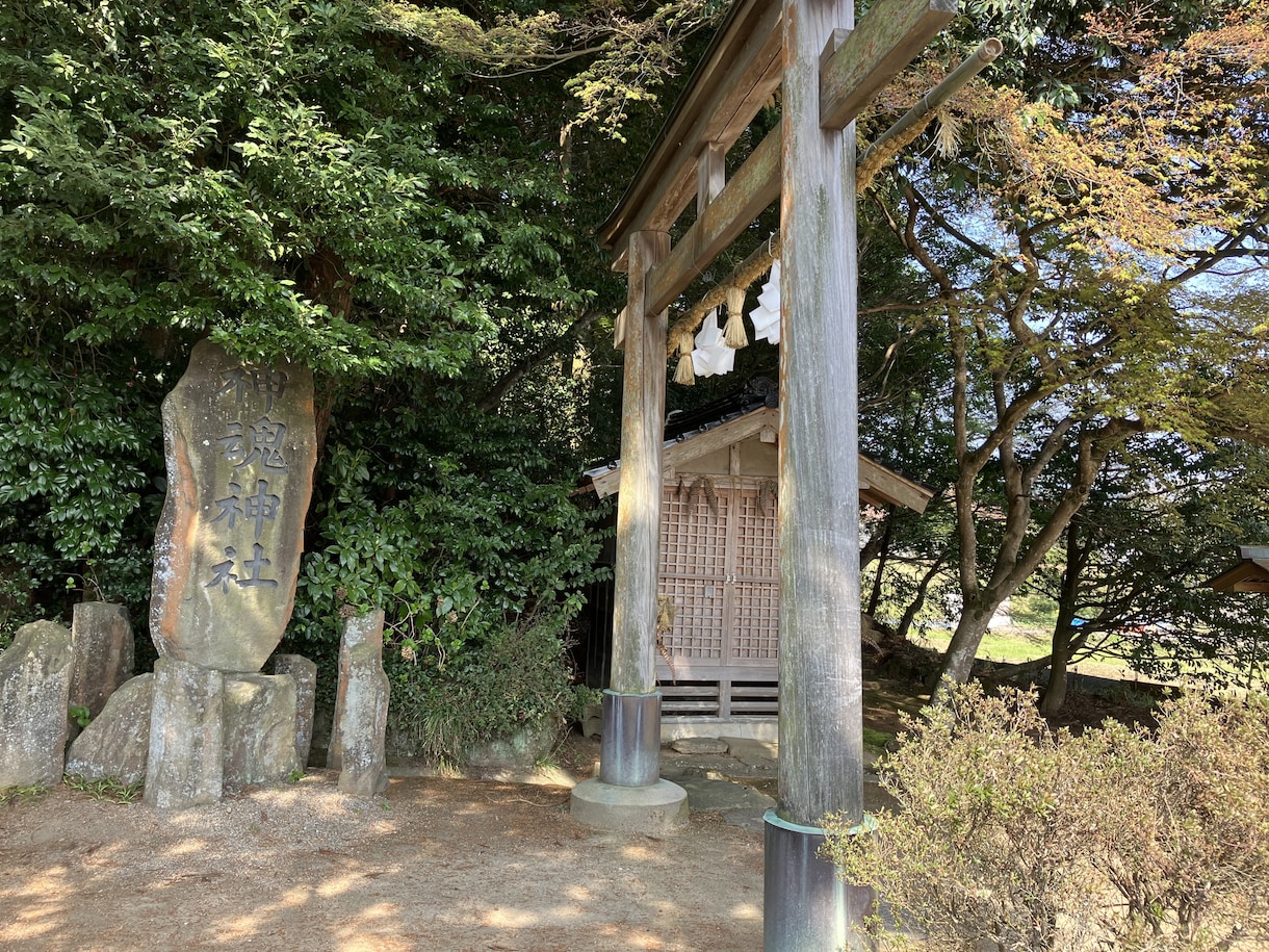 あなたの潜在能力を引き出します あなたが本当に望んでいる事を一緒に見つけていきましょう イメージ5