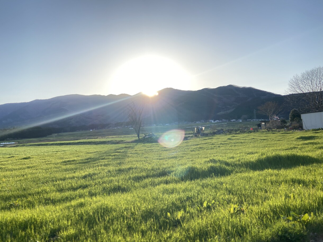守護の存在からの言葉を届けます 前に進みにくいと感じた時、あなたの道を照らします☆ イメージ1