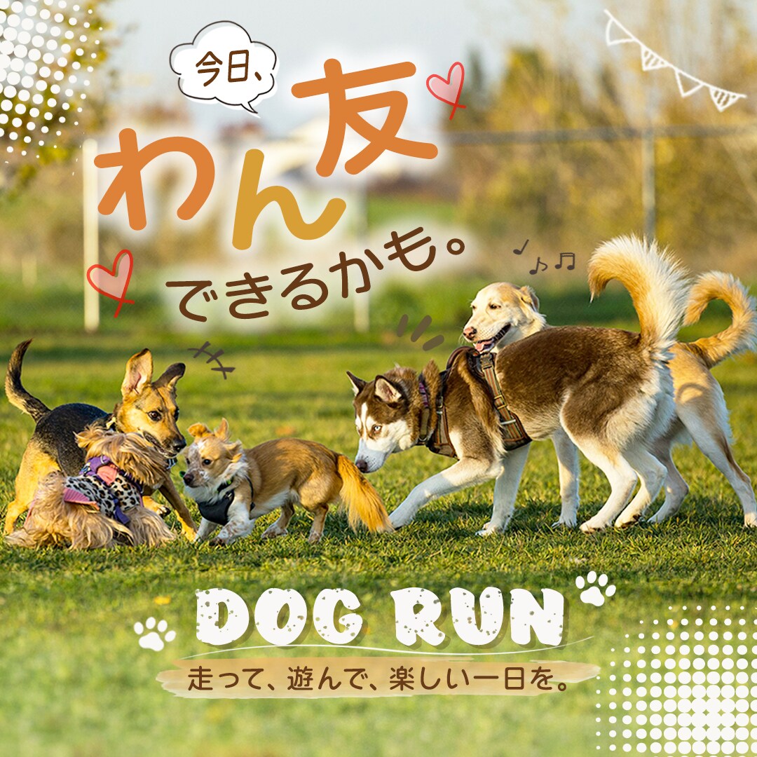 ペット専門！インスタ・SNS投稿画像制作します 動物病院やペットショップの集客に！目を惹くデザイン イメージ6