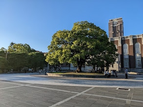 京都大学に関するどんな質問にもお答えします 大学入学後の話や院試に関する質問などどんな内容でも構いません イメージ1