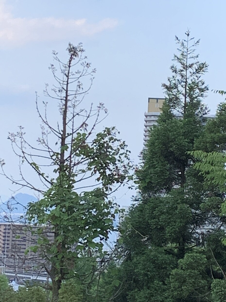 パワハラされ、許せない、イライラする、相談受けます どうにもならない苛立ちを、対処する方法教えます。 イメージ2