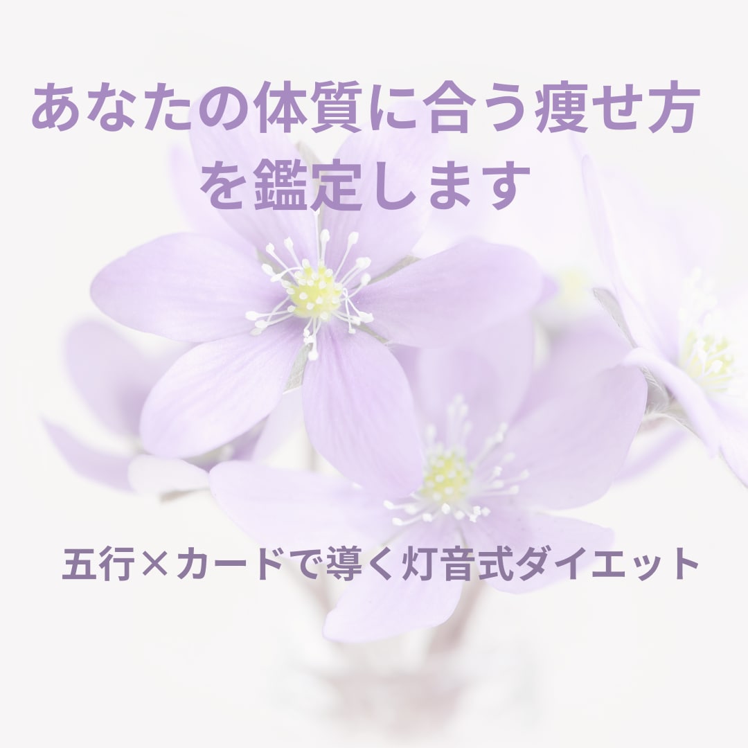 五行で体質を知り日々を整えます 全8項目を6000字以上で丁寧にまとめます イメージ1