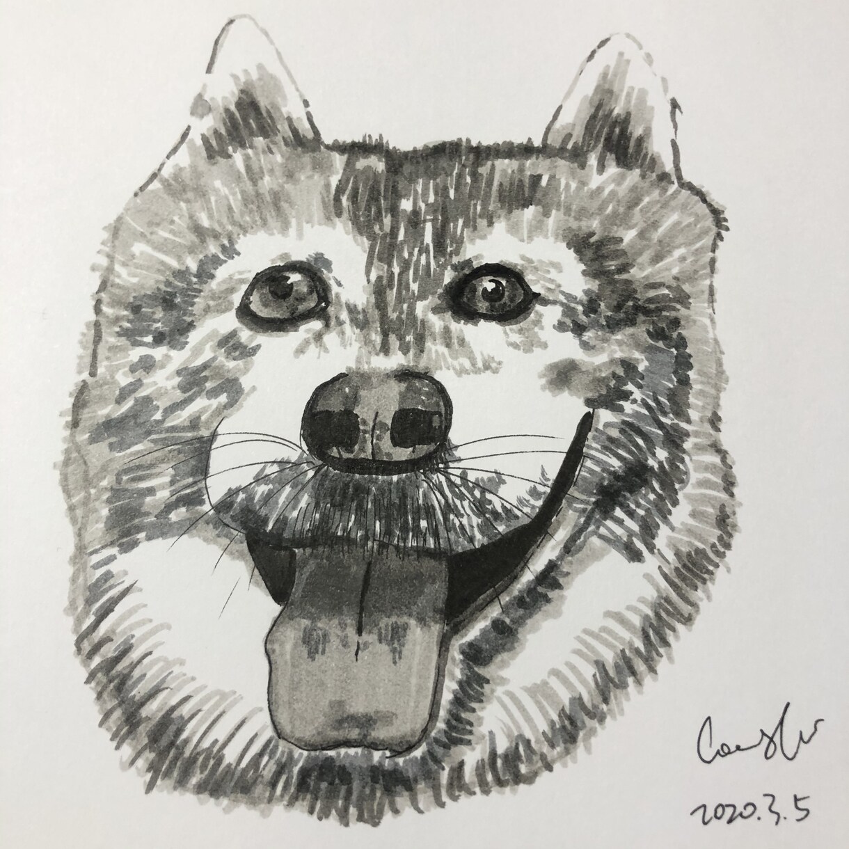 動物の似顔絵とイラストを描きます 色鉛筆とアーティストペン、どちらでも描けます！ イメージ7
