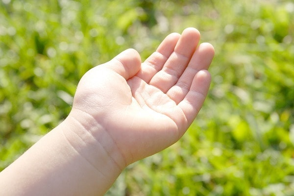 子どもの手相:かくれた才能を見つけ出す愛児の将来がこわいほど