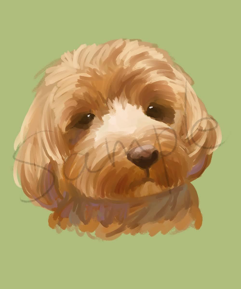 リアルでかわいい愛犬の似顔絵描きます 写真からイラストにしますイラスト/犬/似顔絵 イメージ1