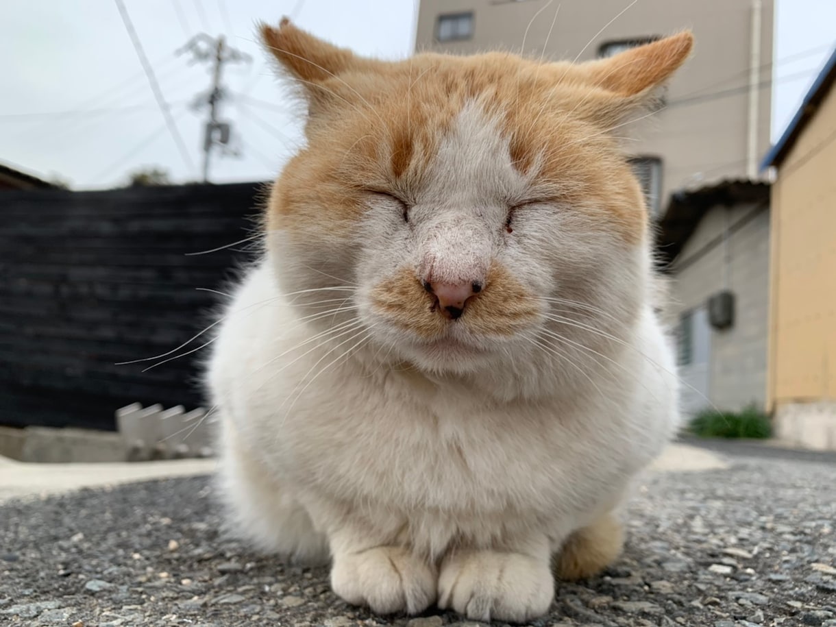 行ってよかった！おすすめアクティビティ教えます アクティブな休日を過ごしたい方に！！ イメージ4