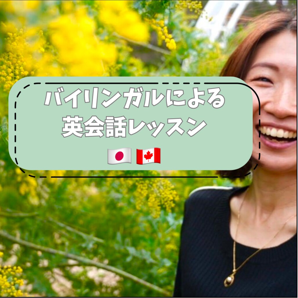 入門～ビジネス向けの英会話レッスンをします しっかりレッスンをしたい方向けの60分コース イメージ1