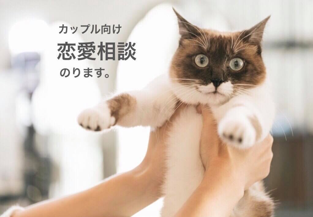 カップル向け恋愛相談を受けます お互いにありのままの自分で相手と向き合いませんか？ イメージ1