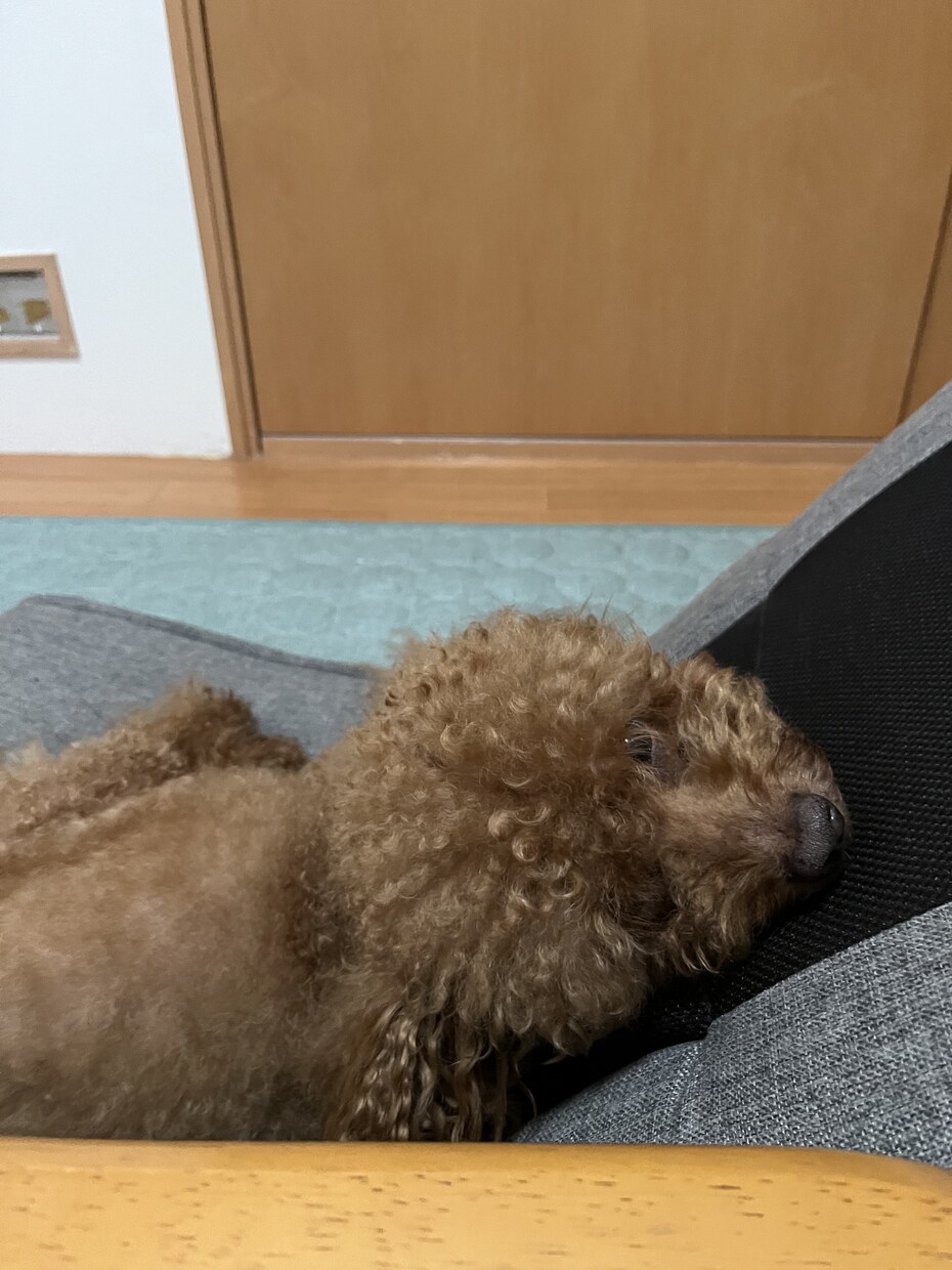 のんびりおじさんおうえんします 人間誰でもイライラも落ち込みもあるから自身の心を大切に イメージ1