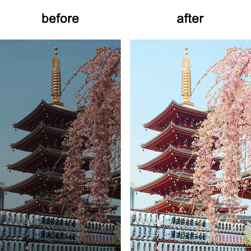 プロが迅速に画像/写真加工・レタッチします プロが短納期を実現！高品質もお約束します！ イメージ5