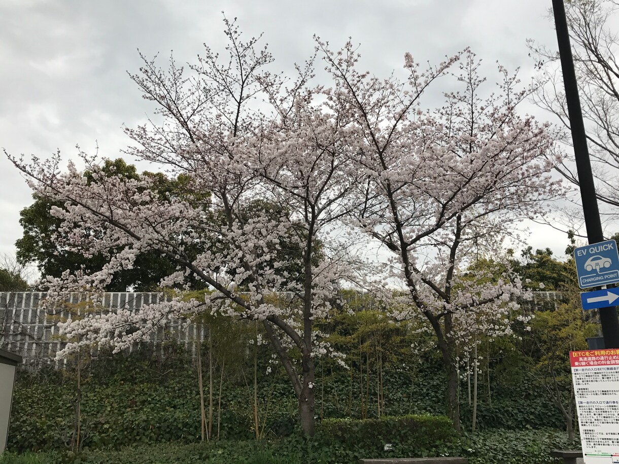 些細なお話から濃いお話まで聞きます 一緒に考えて悩みお話しましょう♪ イメージ1