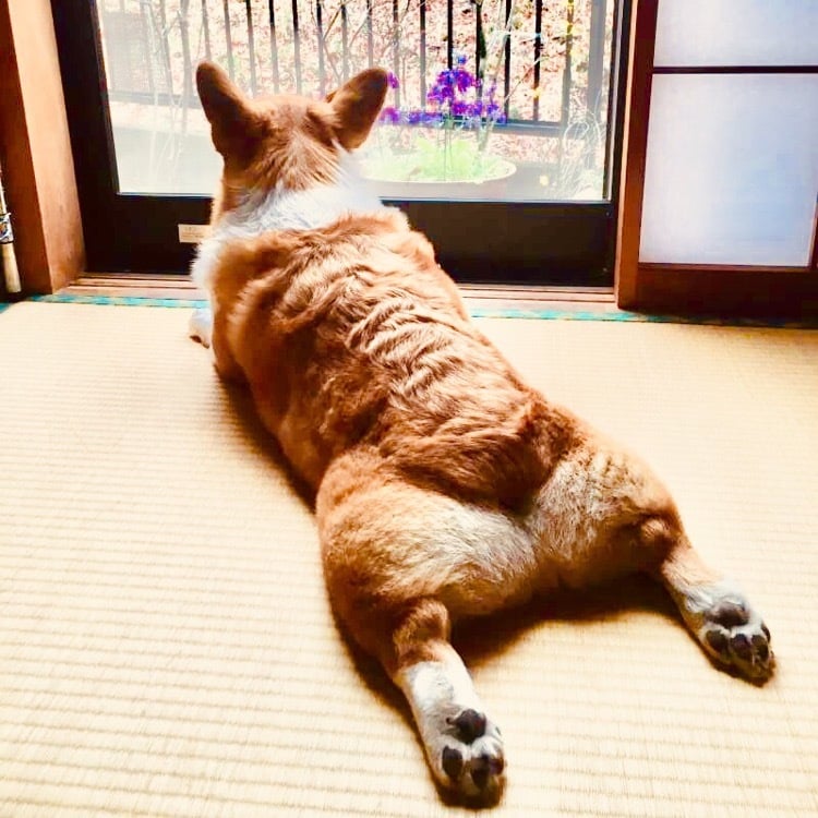 恋愛や会社、子育てなどの愚痴や悩みを聞きます 辛い時にはすぐに頼ってくださいね！心の支えになりたいです！ イメージ4