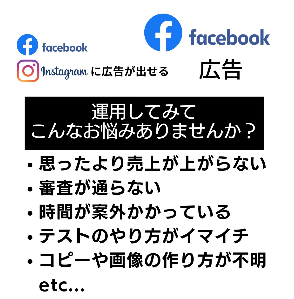 FB広告運用コンサル【プロが全力アドバイス】します 【Facebook広告の相談】売上コミットの改善・戦略立案 イメージ2
