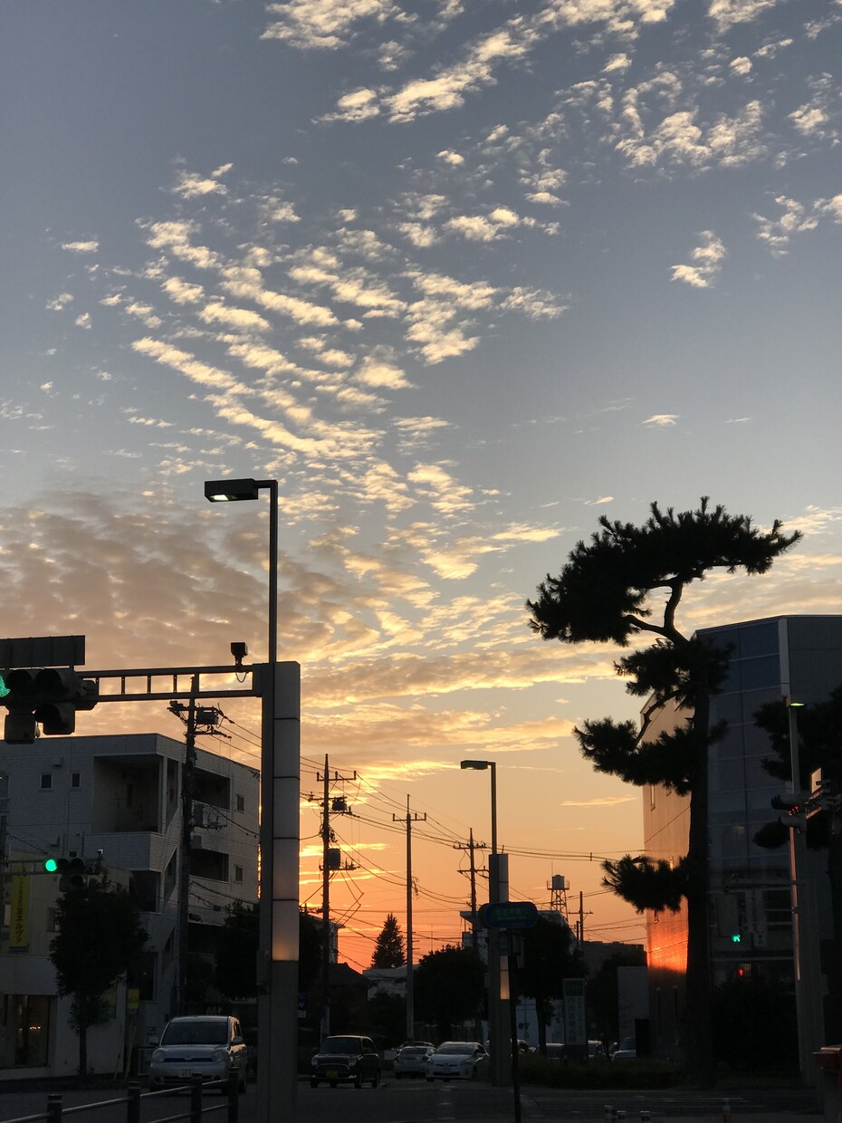 今してる恋愛に不安がある方のお悩みをお聞きします 恋人なのに相手の気持ちが分からず不安で息詰まっている方 イメージ1
