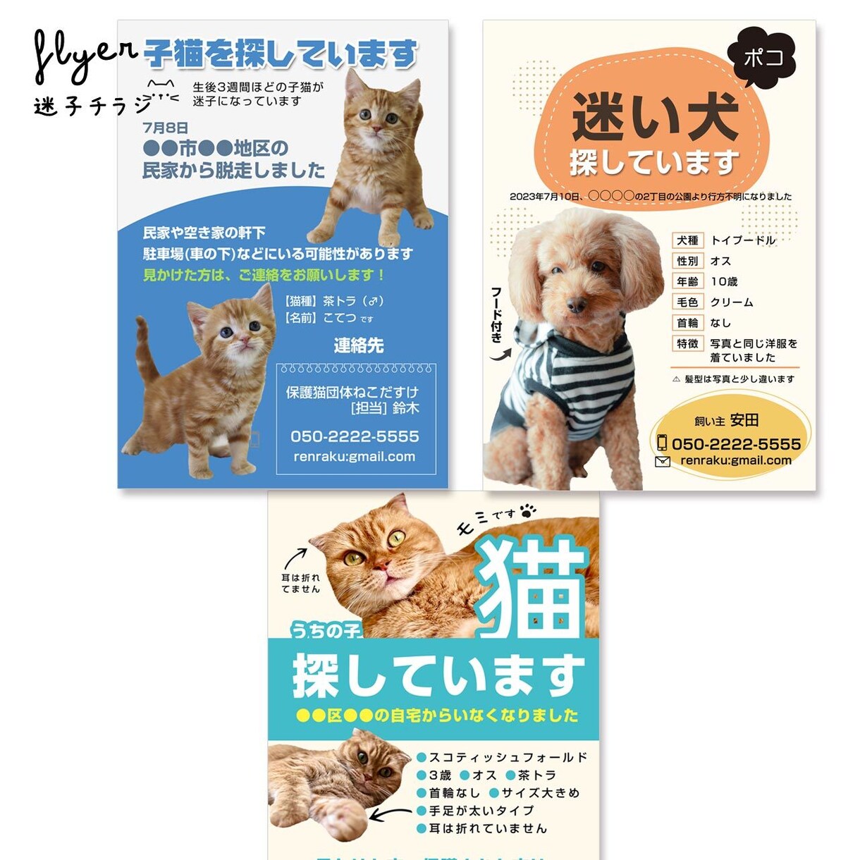 迷子チラシ（猫･犬･鳥など）をお作りします 最愛のお子さんを目立つようにデザインします イメージ3