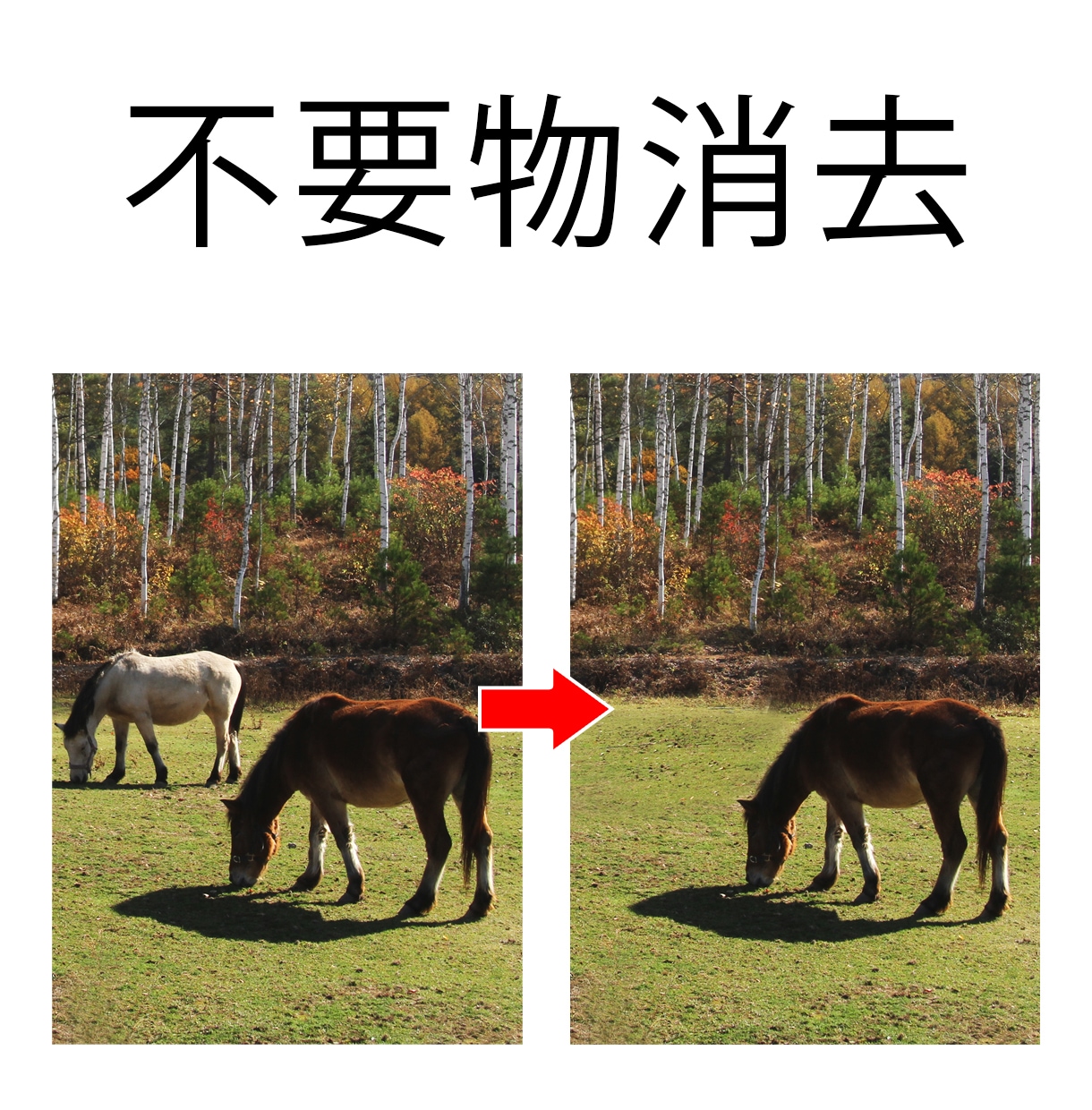 写真画像の中の不要物の消去を承ります 不要な電柱、看板などが、最初から無かったかのように消える！ イメージ2