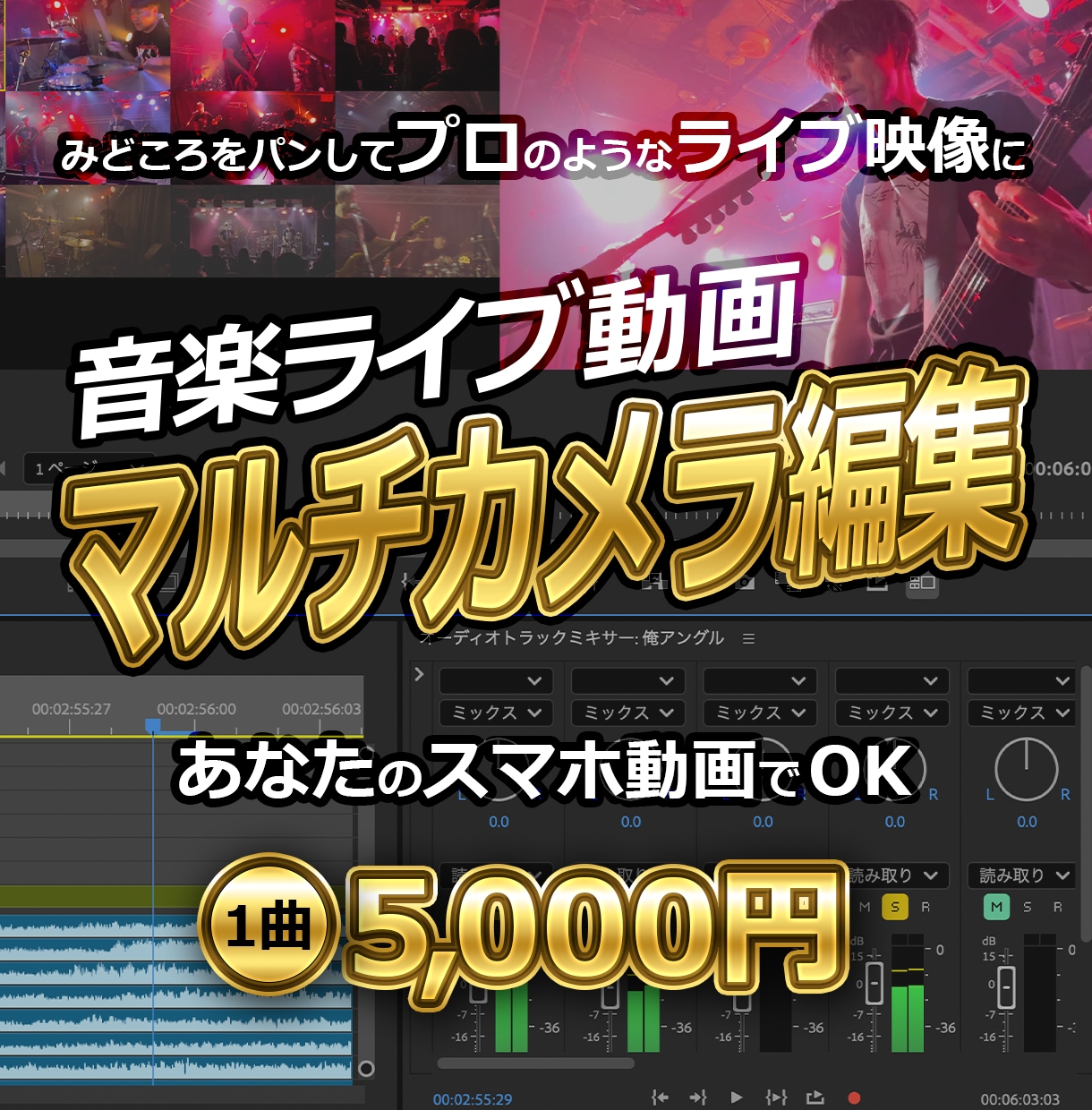 音楽ライブ映像をマルチカメラ編集します みどころをパンしてプロのようなライブ映像に！スマホ動画OK！ イメージ1