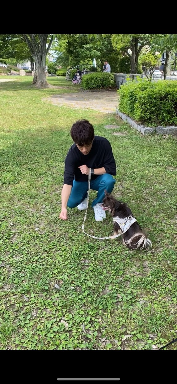 ペットや人を幸せにします トレーニングやケア（人や全動物） イメージ2