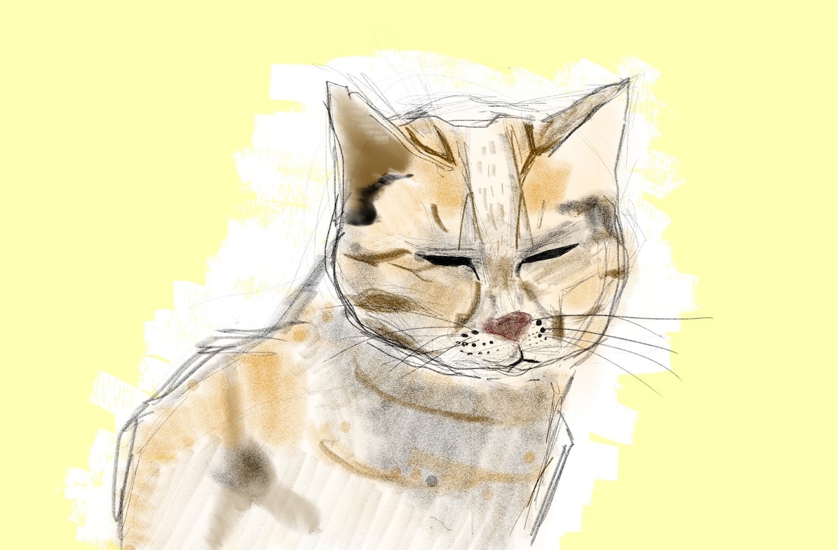 鉛筆画をiPadで作成します 一点一点心を込めて制作しています イメージ1