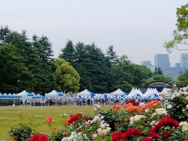 様々なイベントの最高の瞬間を逃さず、美しく残します 大切な瞬間を永遠に。元保育士が、自然な笑顔を引き出します。 イメージ2