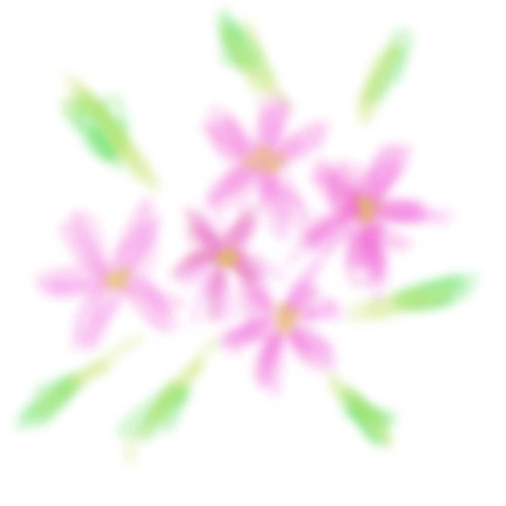 ご希望のお花のがありましたら描きます ふんわりとしたお花の絵を主に描いています。 イメージ3