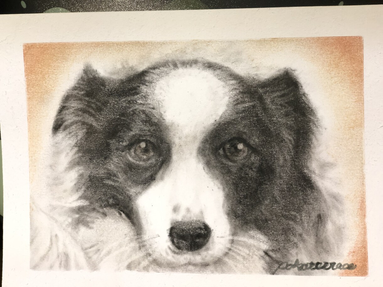 写真を元に動物の顔の似顔絵を描きます パステルアートで描くので柔らかく温かみのある似顔絵です。 イメージ2