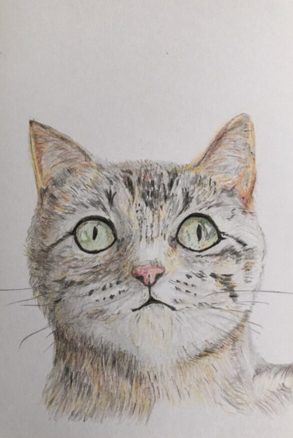 ねこ(いぬ)の似顔絵を描きます 愛する猫ちゃん(ワンちゃん)似顔絵を飾りましょう！ イメージ3