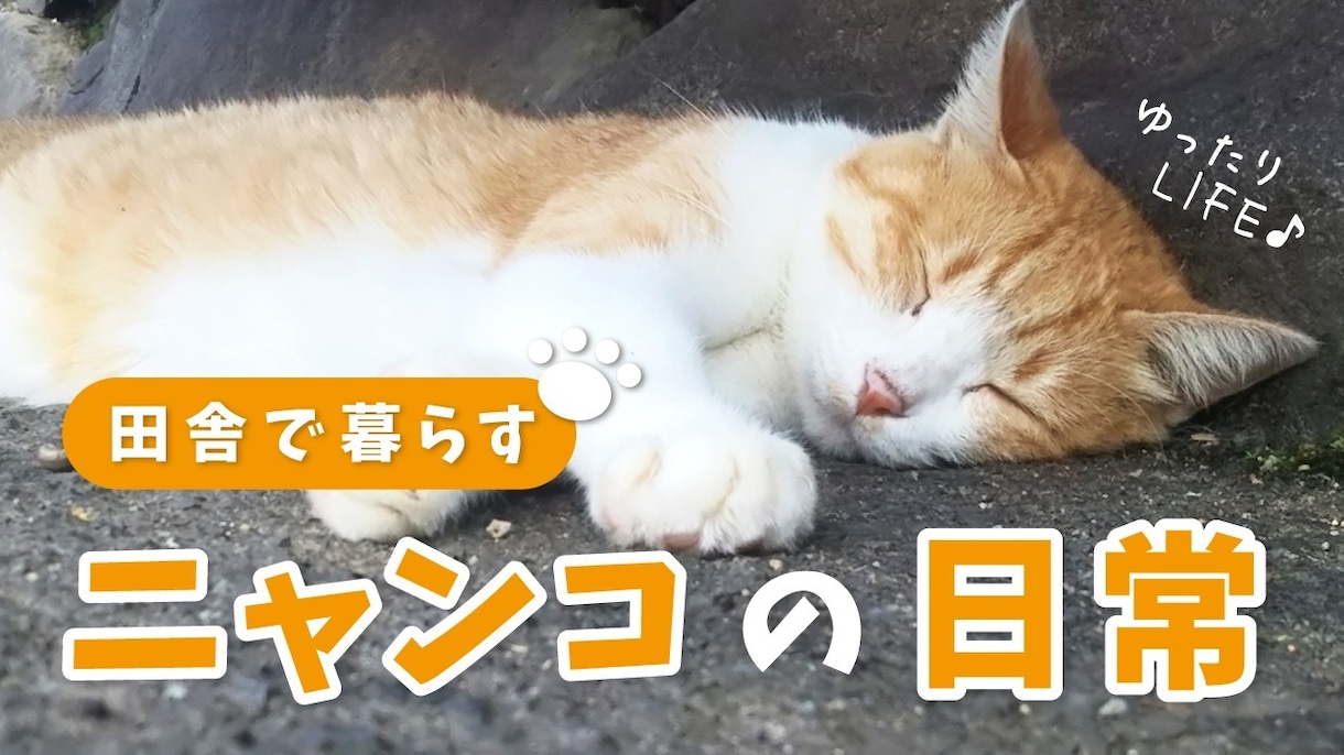 バナー・ヘッダーなどWEB画像作成します 低価格で丁寧にご対応させていただきます。 イメージ5