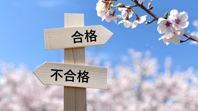 受験・資格試験の合否を占います 詳細版☀︎生年月日必須になります イメージ1