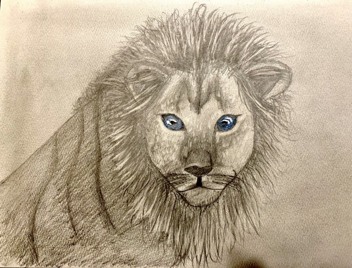 動物や似顔絵を色鉛筆で優しく描きます 育児をしているパパが色鉛筆でユーモアな絵を描きます^_^ イメージ6