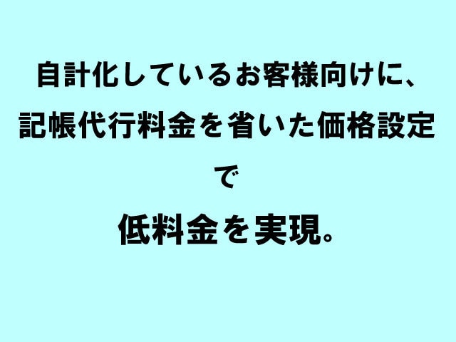 東京の税理士法人が法人税・消費税を電子申告します 満枠でも対応！セルフ方式適正価格の法人税・地方税・消費税申告 イメージ2