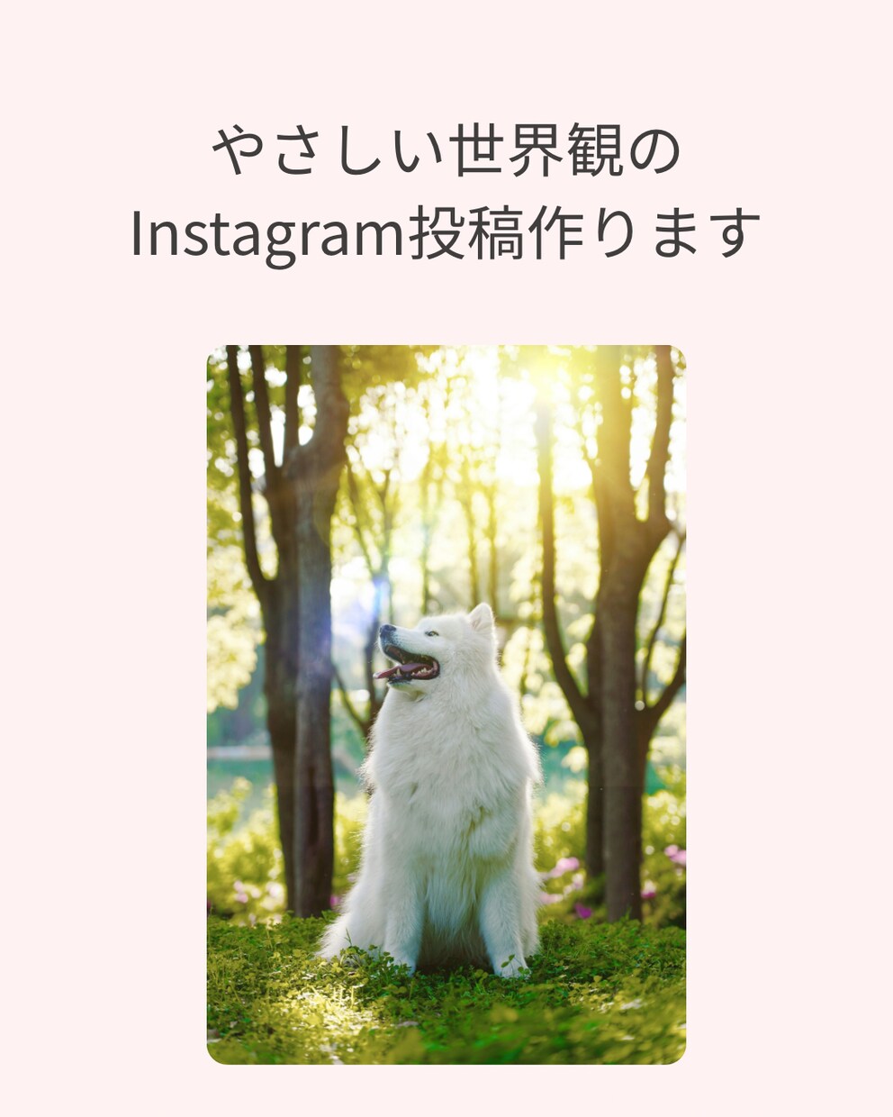 Instagramのフィード投稿を1件制作します SNSの運用を任せてみたい方、丁寧に対応致します。 イメージ1