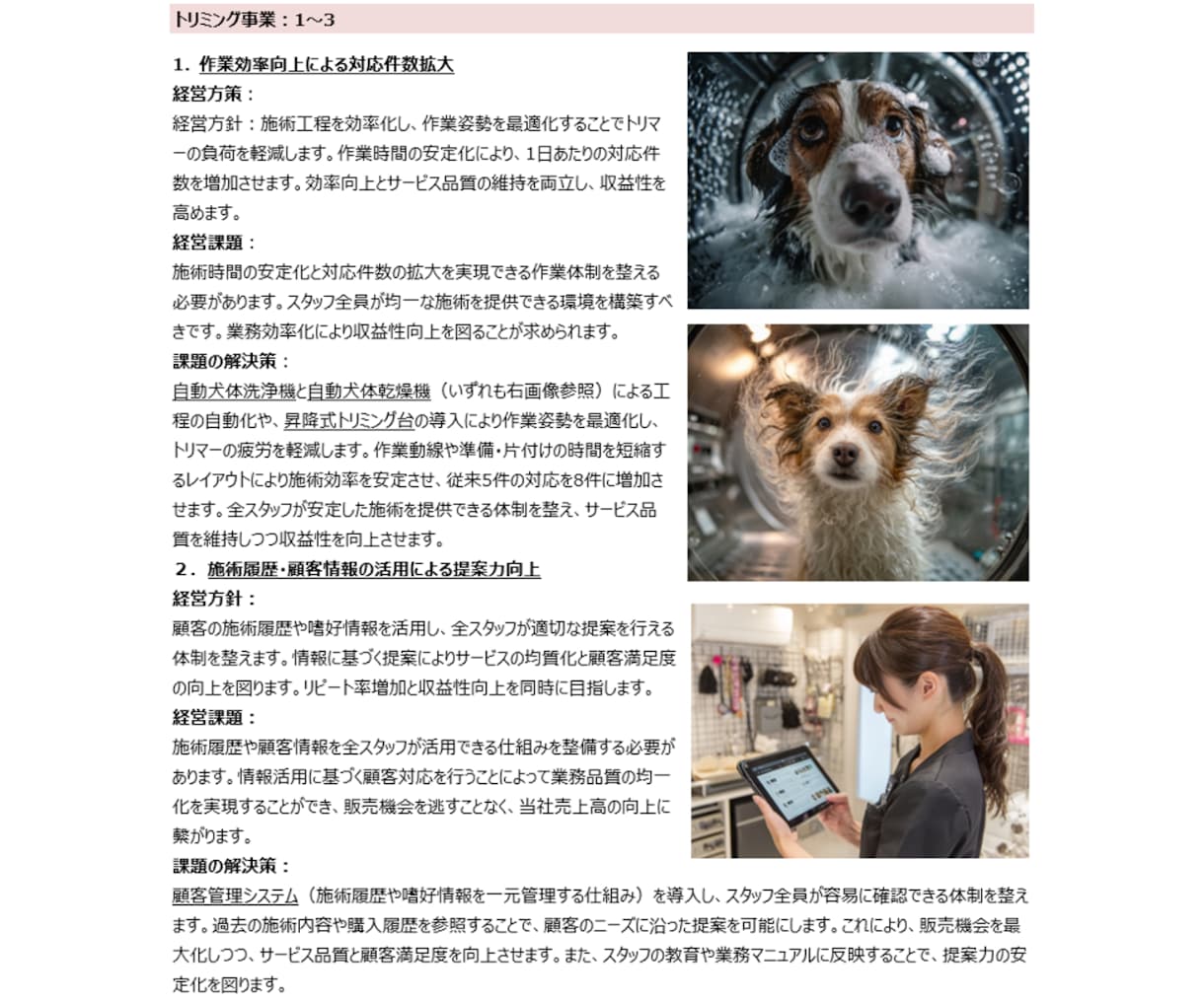 経営方策・経営課題・解決策を記した資料を作成します ～金融機関に努める中小企業診断士が貴社の方向性を提示します～ イメージ7