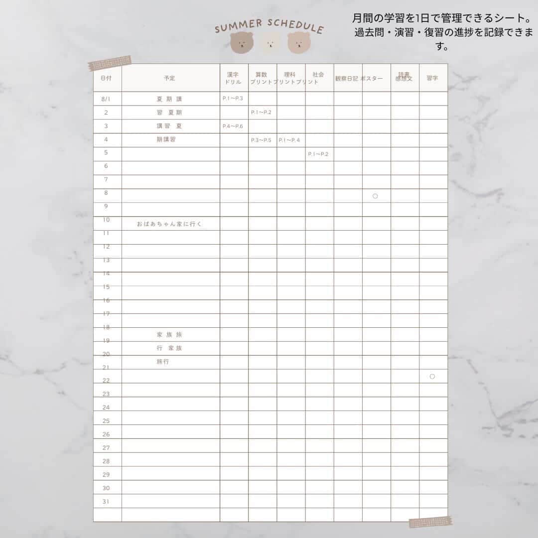 月間、週間の勉強計画テンプレートをお渡しします 続けやしい学習テンプレートです イメージ3