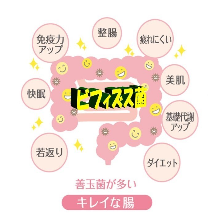 デトックスの一つ、コーヒーエネマの説明をします コーヒーエネマのノウハウをお教えします。 イメージ1