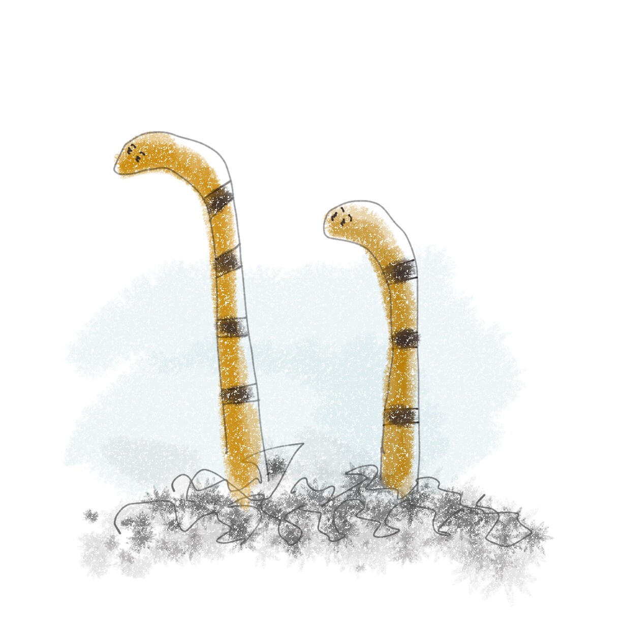 イメージに合わせてイラスト書きます ふんわり系やシンプル系の絵描きます。 イメージ2