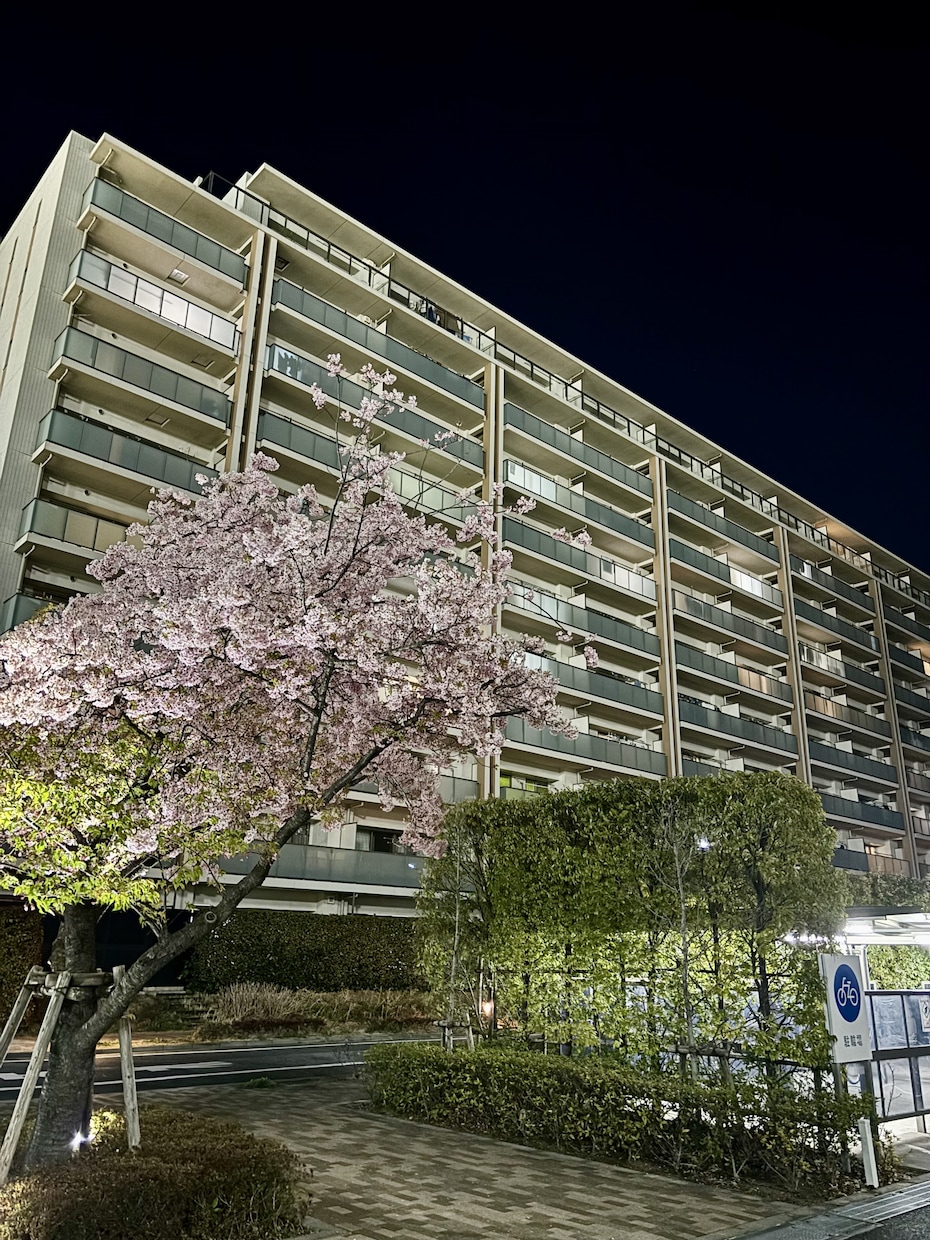 新築・中古マンション購入相談お受けしています 幅広い知識と相場感を生かしレポートを作成します！ イメージ1
