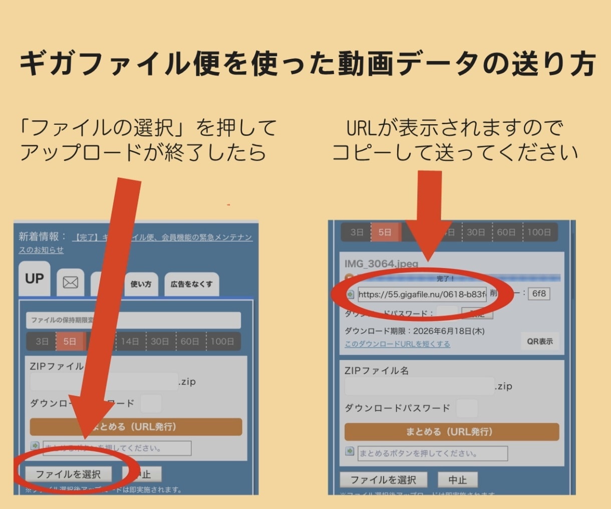 いろんな動画データをDVDにします 最速で当日発送も可能！追跡ありの発送！ イメージ7