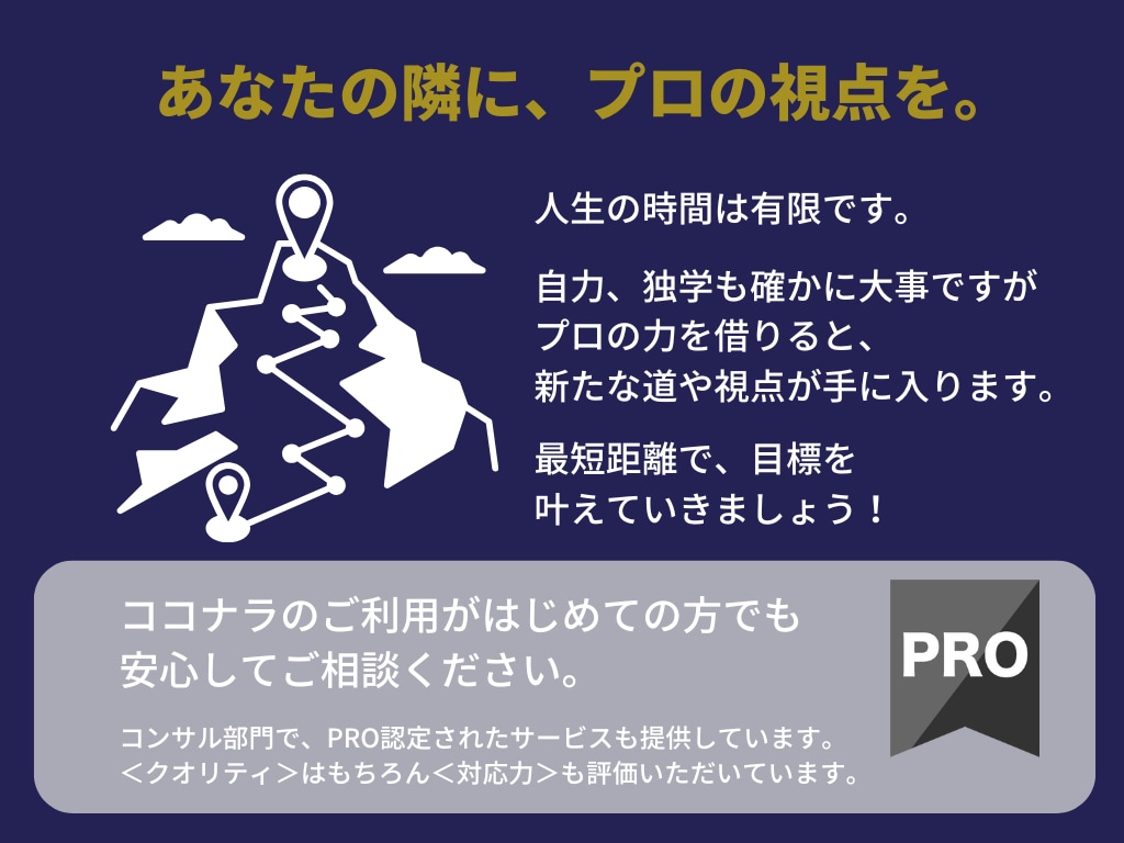 Amazon売上が伸びない理由30分で言語化します 構造の見直しで売上アップを目指す！Amazon専任コンサル イメージ10