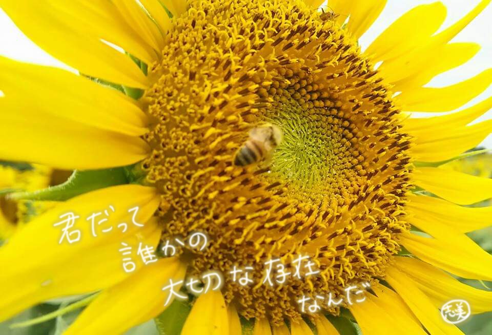 限定価格！あなたに寄り添います オープンハート！本当のあなたを引き出します✨ イメージ2