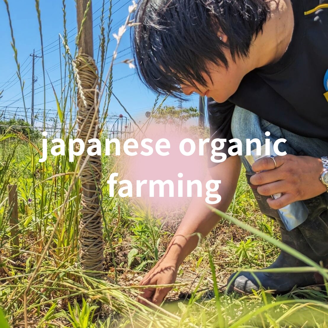 体に土に優しい野菜の作り方教えます ゆるーく自分で作った安心安全な野菜作り イメージ1