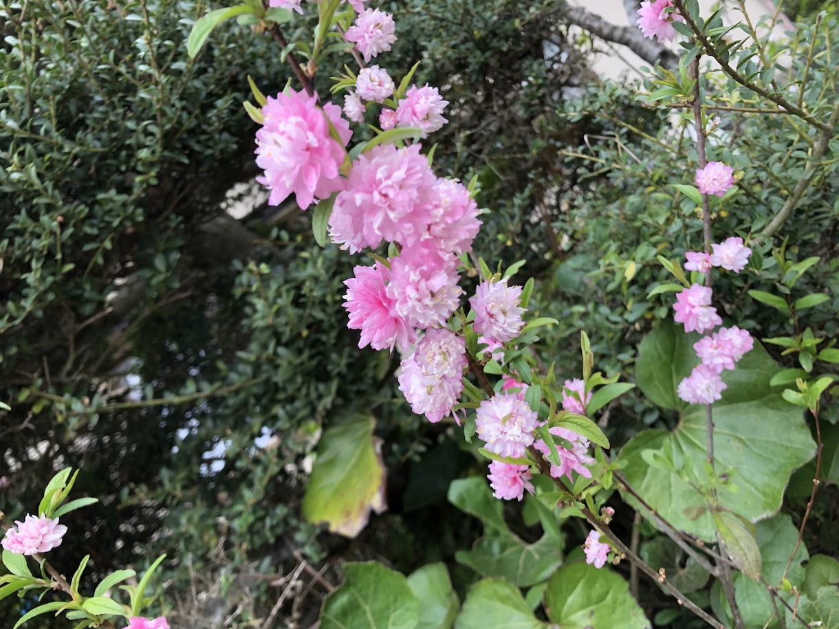 日々の愚痴、悩み聞きます あなたの話とことん付き合います！ イメージ1