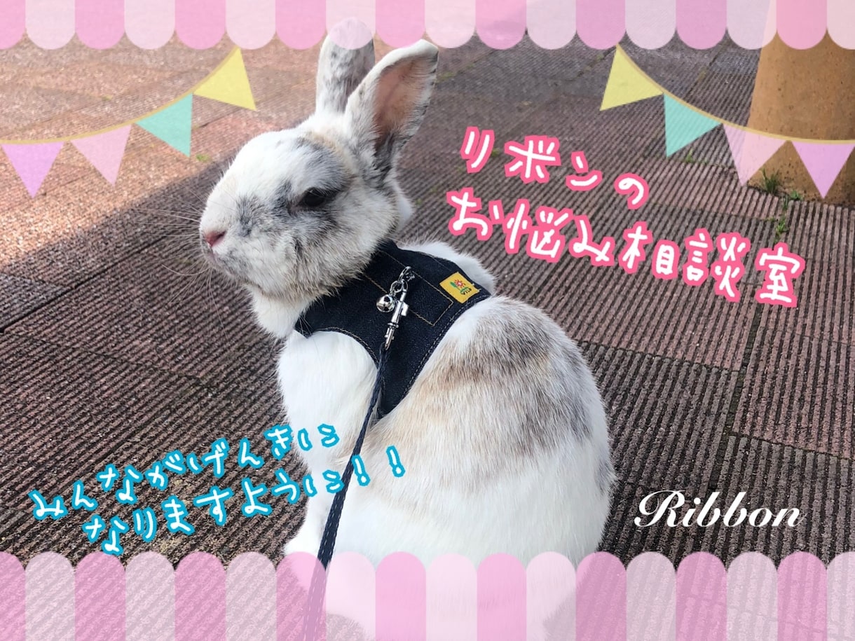 恋バナから本気の恋愛相談までお聞きします 3分お話して合わなければやめてもOK！あなたのペースでお話を イメージ1