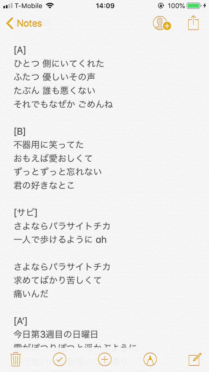 リスナーの印象に残りやすい歌詞を書きます ポピュラーな歌詞、本格的な歌詞を求む方へ イメージ3