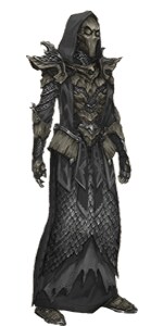 ESOのアドバイスします The Elder Scrolls Online アドバイス イメージ1