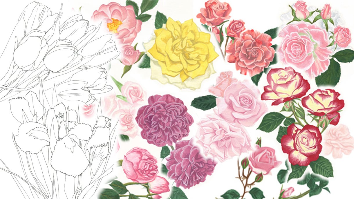 植物・花・ボタニカルのイラストを制作します 質感や形状を大切にお描きします。 イメージ1